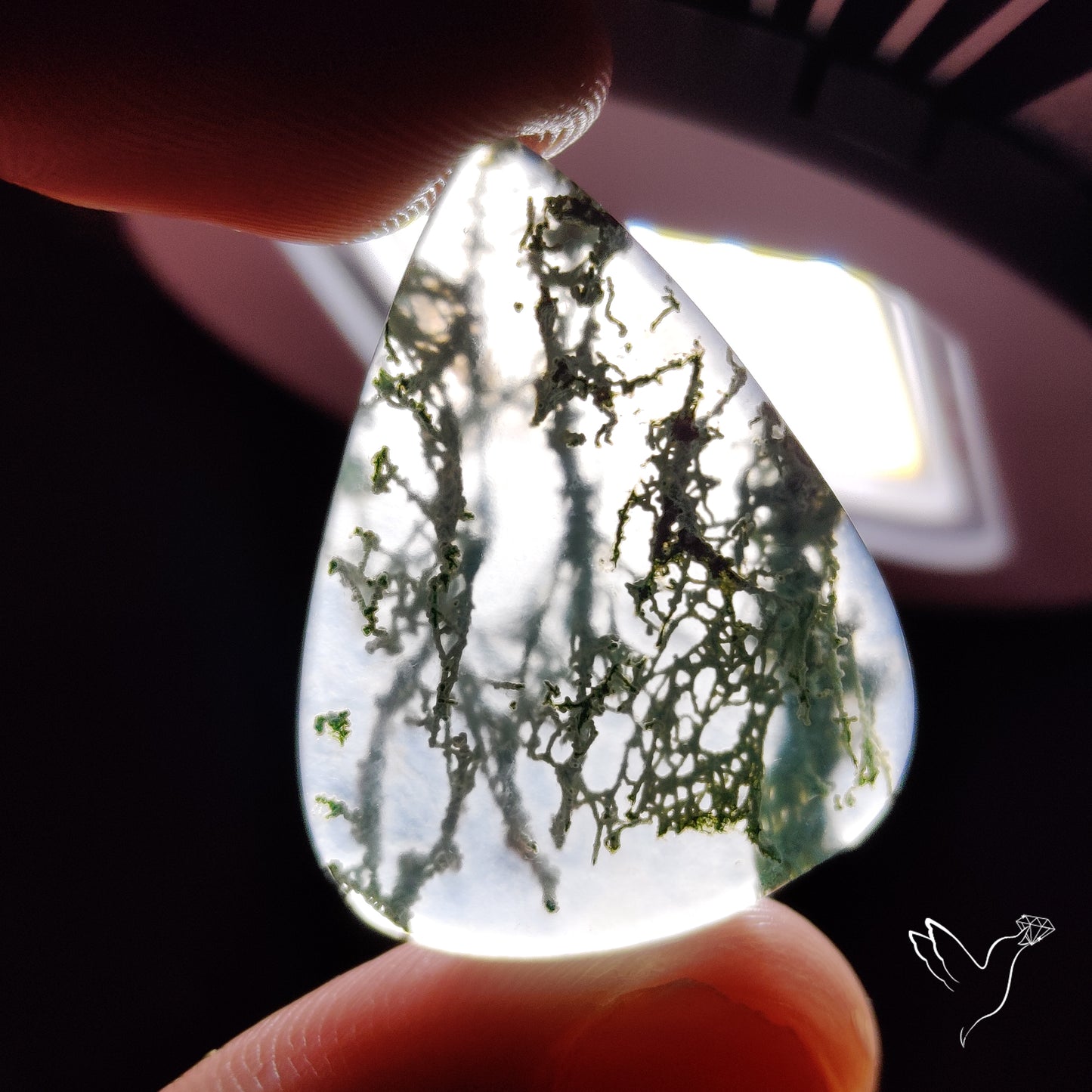 Horse Canyon Moss Agate Cabochon