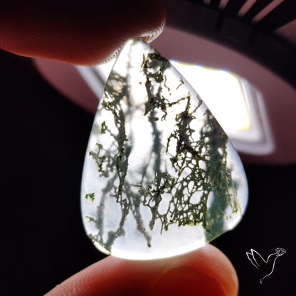 Horse Canyon Moss Agate Cabochon