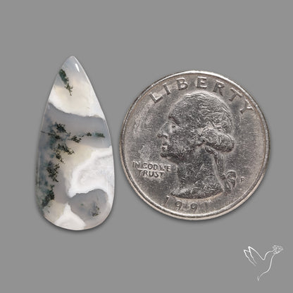 Horse Canyon Moss Agate Cabochon