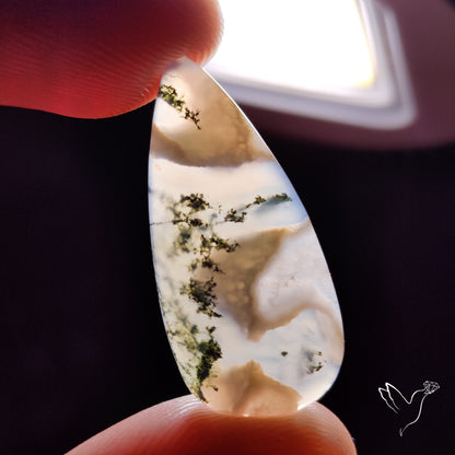 Horse Canyon Moss Agate Cabochon