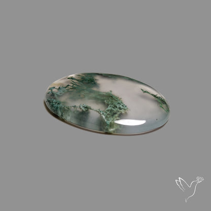 Horse Canyon Moss Agate Cabochon