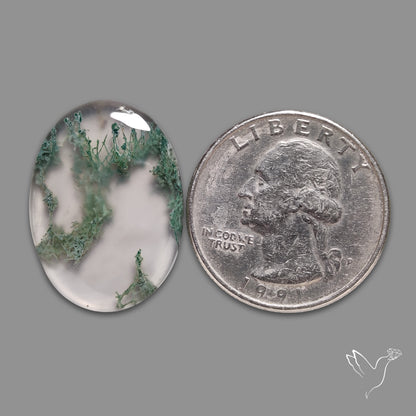 Horse Canyon Moss Agate Cabochon