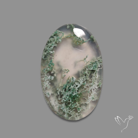Horse Canyon Moss Agate Cabochon
