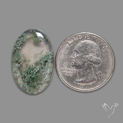 Horse Canyon Moss Agate Cabochon
