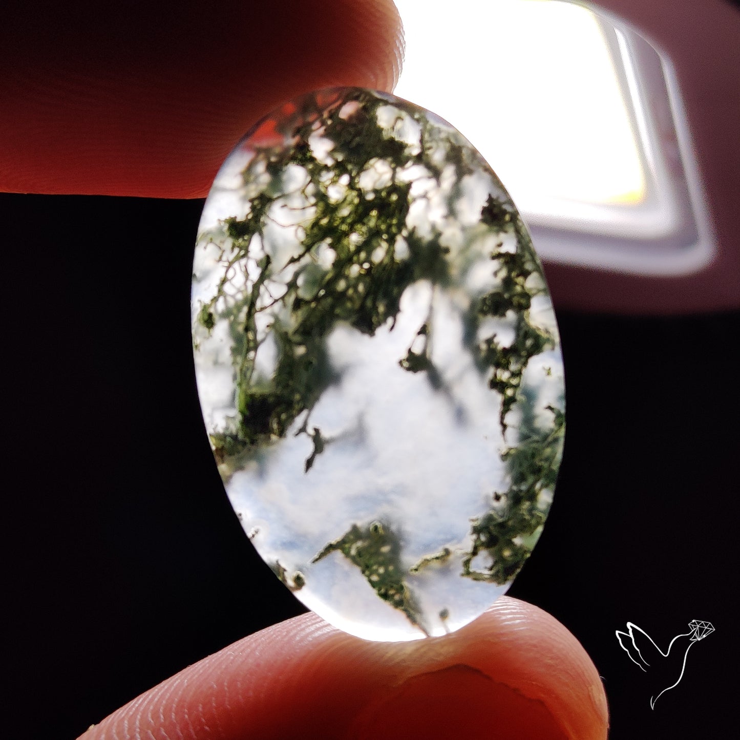 Horse Canyon Moss Agate Cabochon