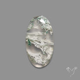 Horse Canyon Moss Agate Cabochon