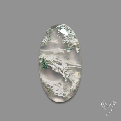 Horse Canyon Moss Agate Cabochon