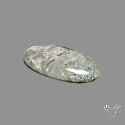Horse Canyon Moss Agate Cabochon