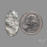 Horse Canyon Moss Agate Cabochon