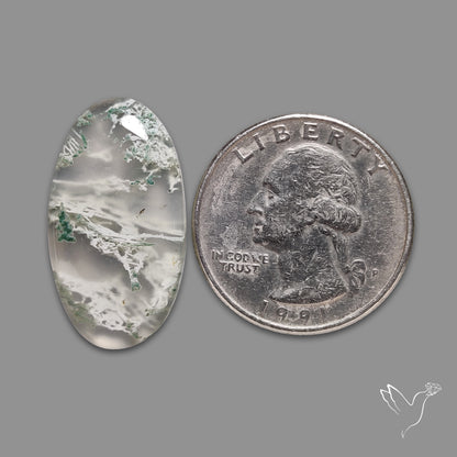 Horse Canyon Moss Agate Cabochon
