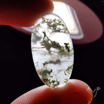 Horse Canyon Moss Agate Cabochon