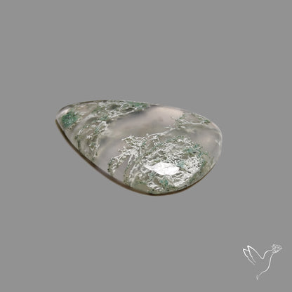 Horse Canyon Moss Agate Cabochon