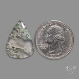 Horse Canyon Moss Agate Cabochon