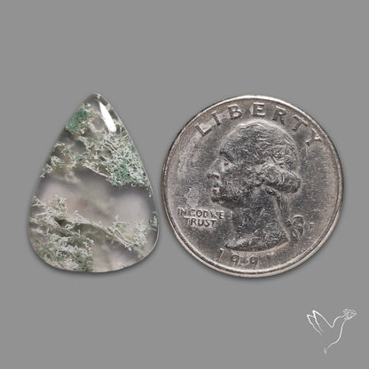 Horse Canyon Moss Agate Cabochon