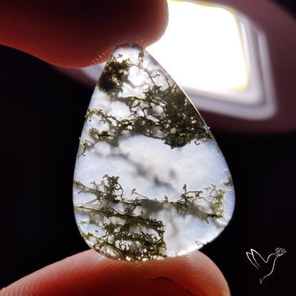 Horse Canyon Moss Agate Cabochon
