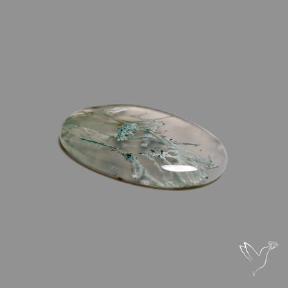 Horse Canyon Moss Agate Cabochon