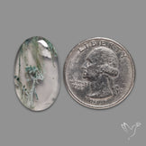 Horse Canyon Moss Agate Cabochon