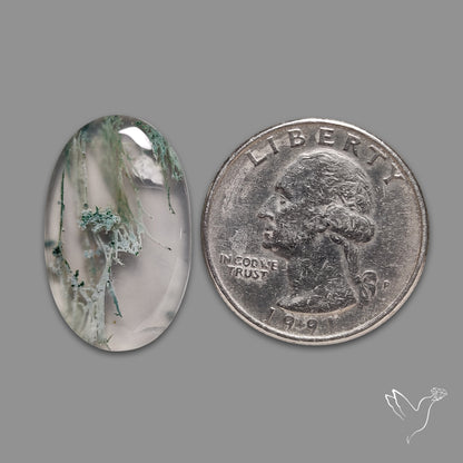 Horse Canyon Moss Agate Cabochon