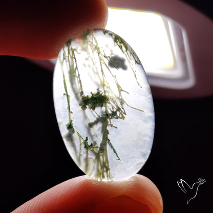 Horse Canyon Moss Agate Cabochon