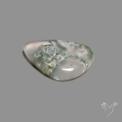 Horse Canyon Moss Agate Cabochon