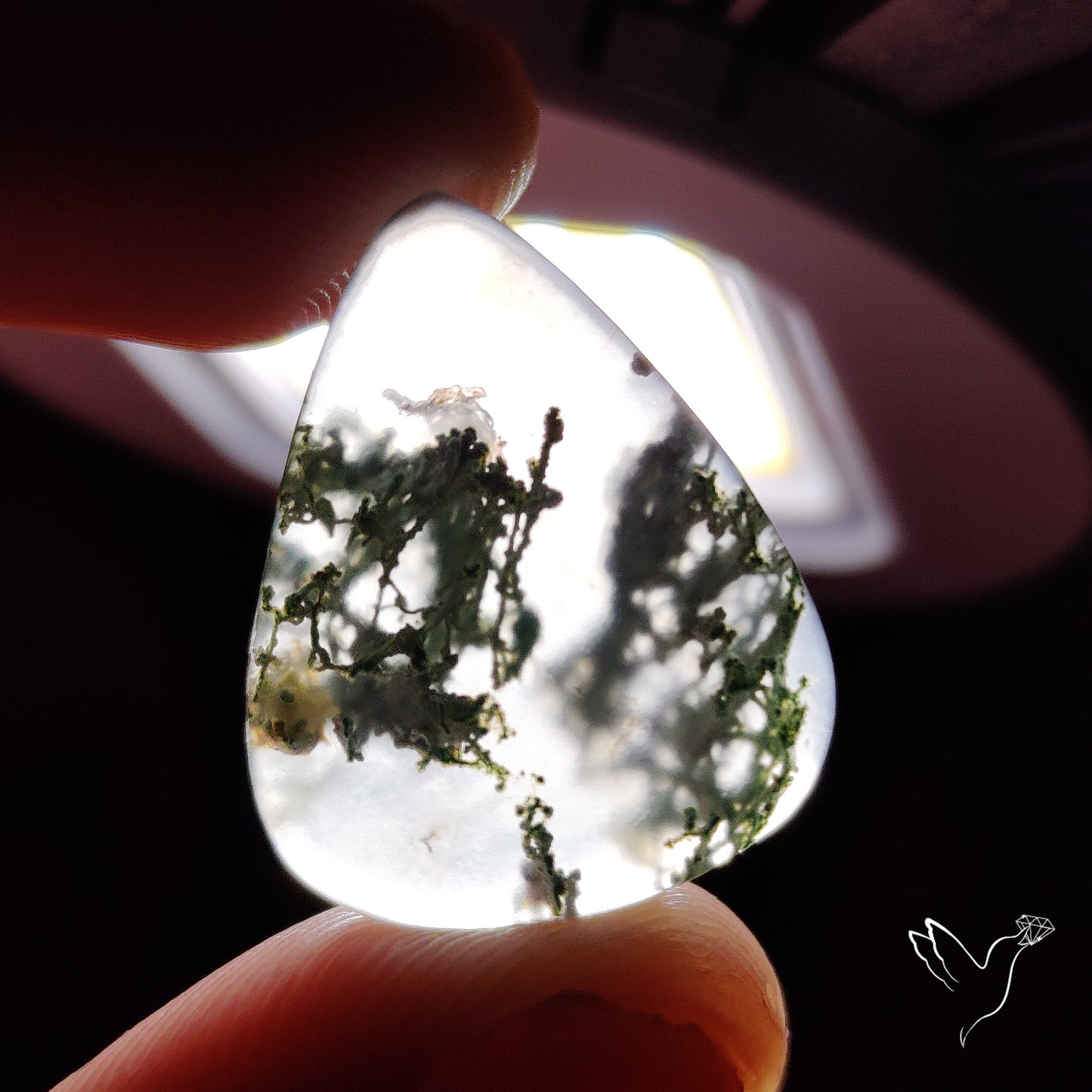 Horse Canyon Moss Agate Cabochon
