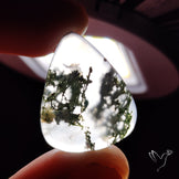Horse Canyon Moss Agate Cabochon