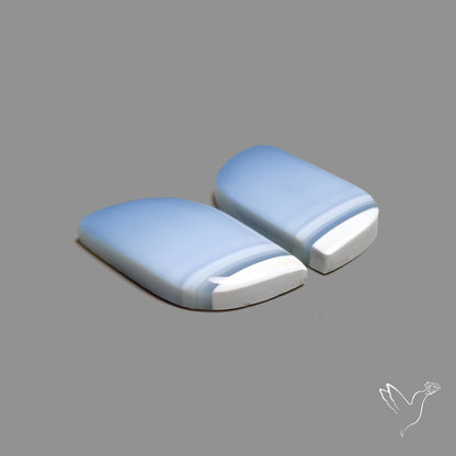 Owyhee Blue Opals Pair