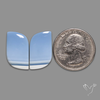 Owyhee Blue Opals Pair