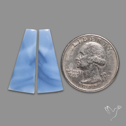 Owyhee Blue Opals Pair