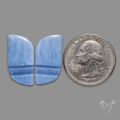 Owyhee Blue Opals Pair