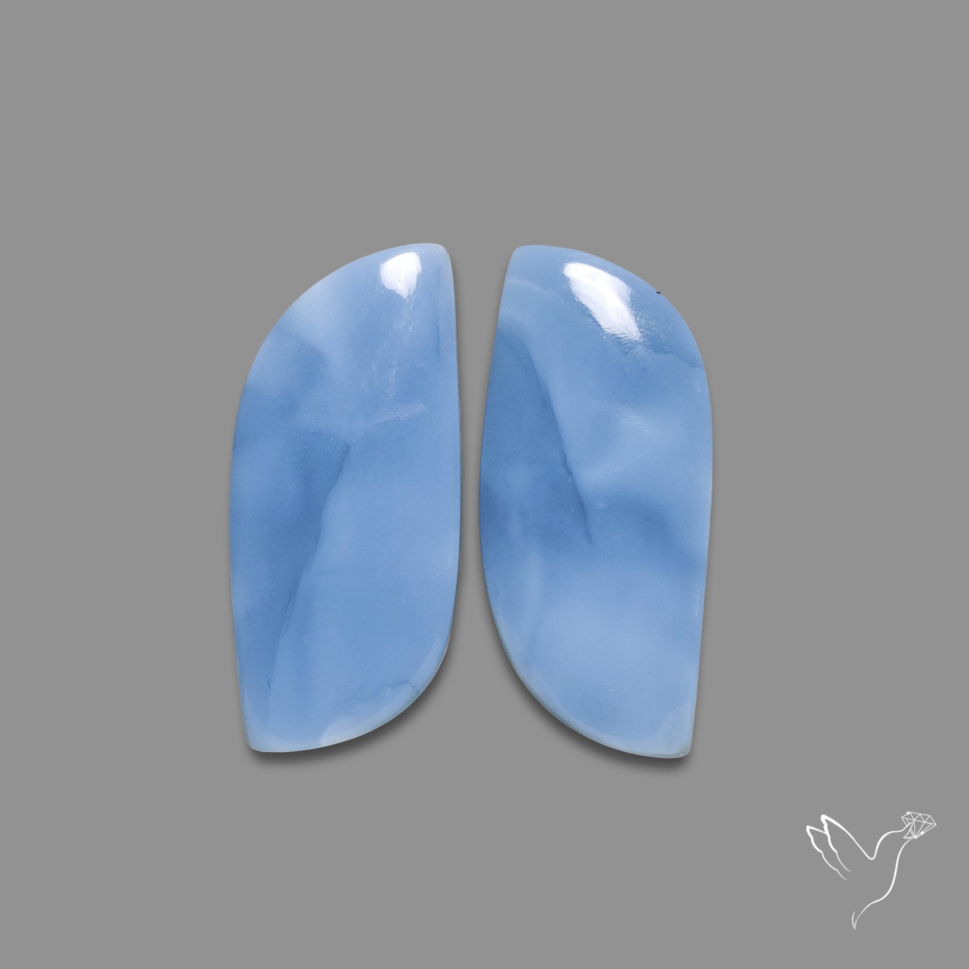 Owyhee Blue Opals Pair