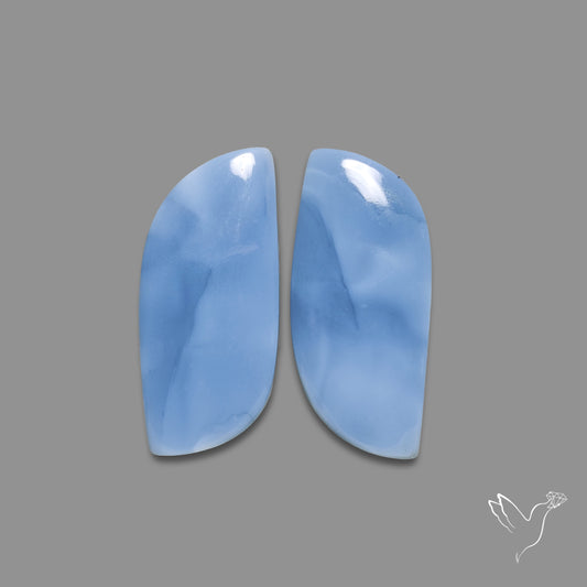 Owyhee Blue Opals Pair