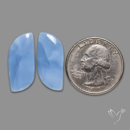 Owyhee Blue Opals Pair