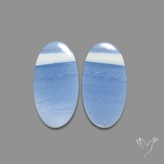 Owyhee Blue Opals Pair