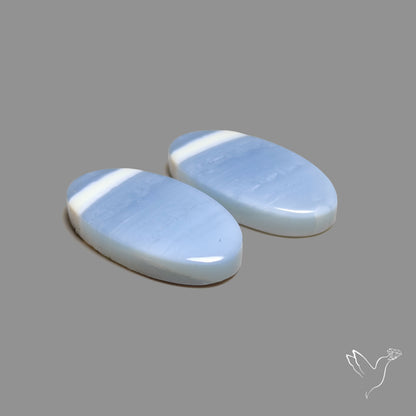 Owyhee Blue Opals Pair