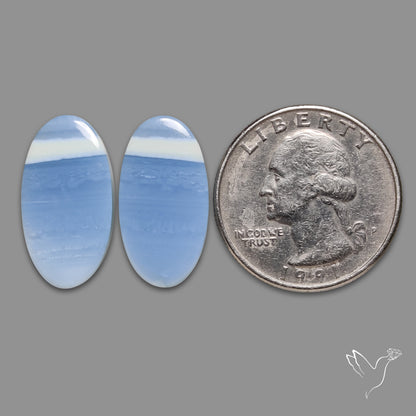 Owyhee Blue Opals Pair