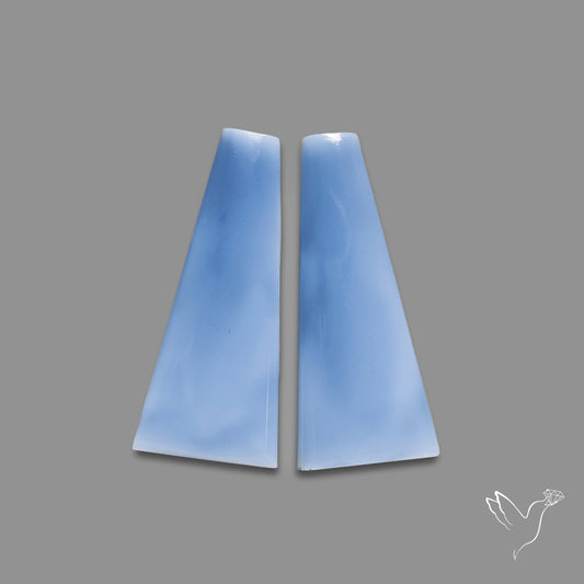 Owyhee Blue Opals Pair