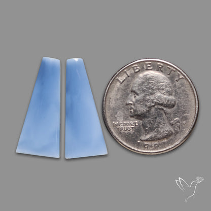 Owyhee Blue Opals Pair