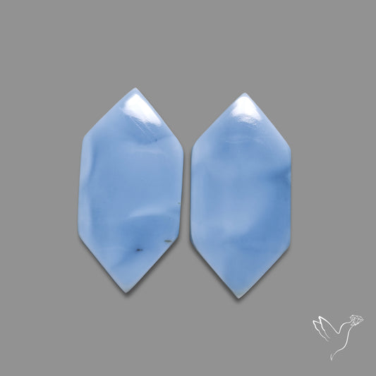 Owyhee Blue Opals Pair