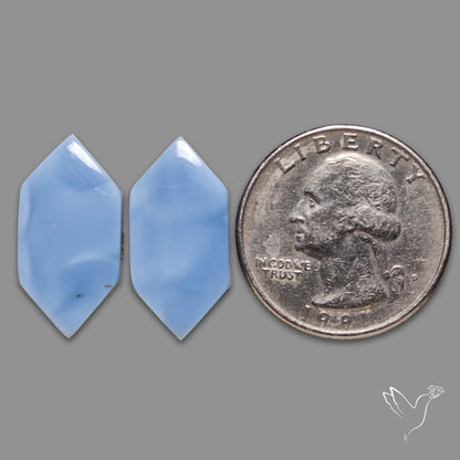 Owyhee Blue Opals Pair