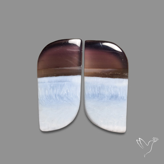 Owyhee Blue Opals Pair