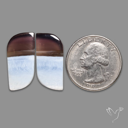 Owyhee Blue Opals Pair
