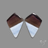 Owyhee Blue Opals Pair