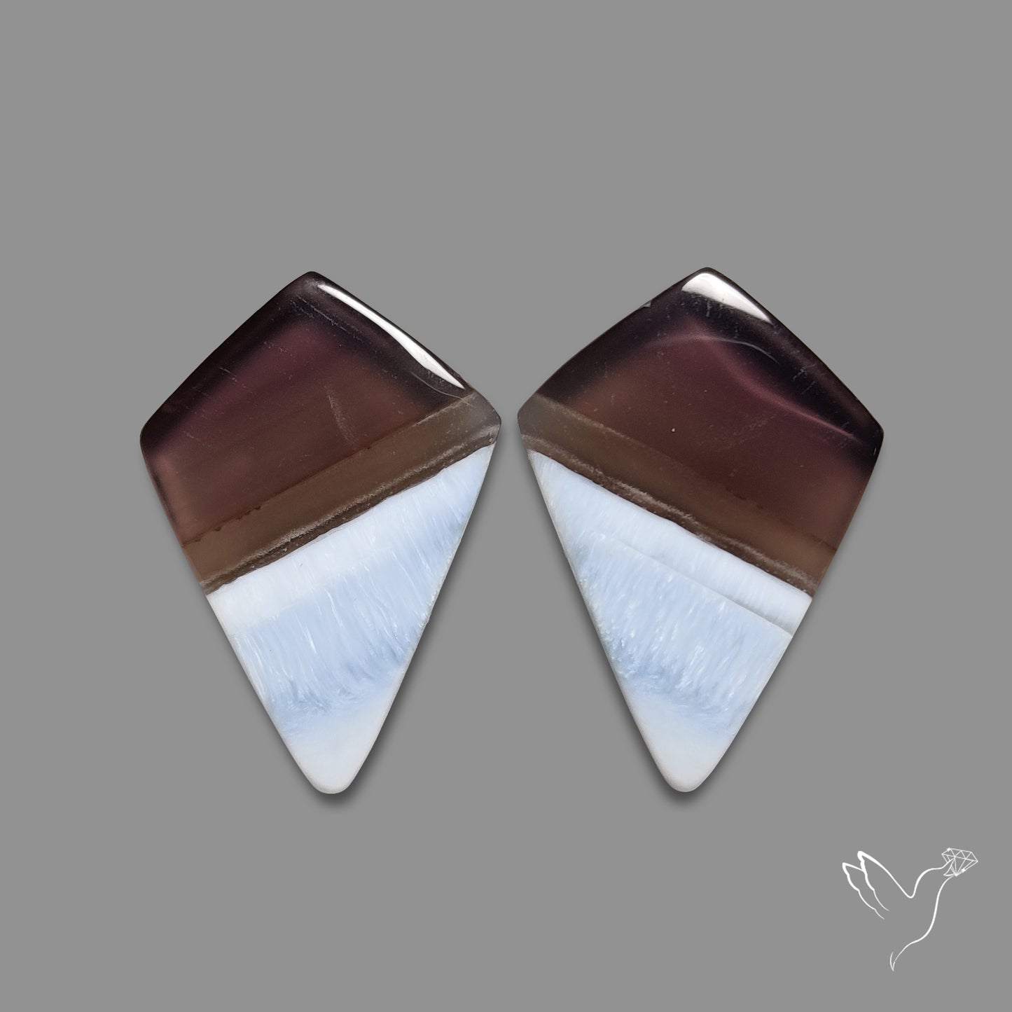 Owyhee Blue Opals Pair