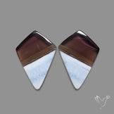 Owyhee Blue Opals Pair