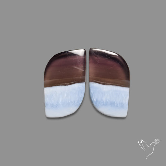 Owyhee Blue Opals Pair