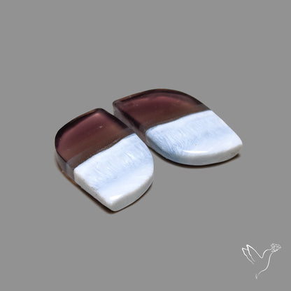 Owyhee Blue Opals Pair