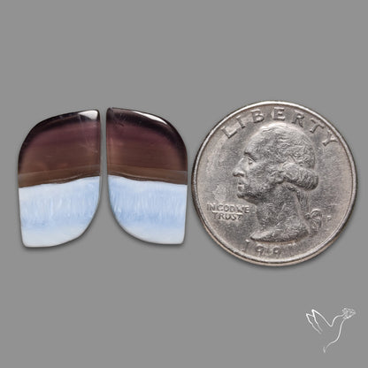 Owyhee Blue Opals Pair
