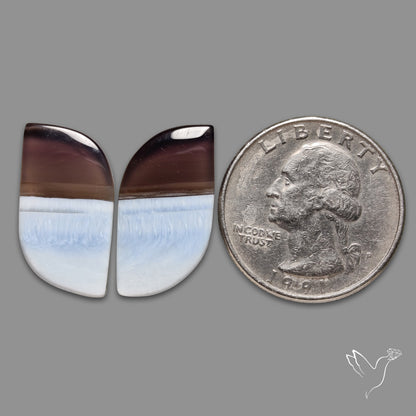 Owyhee Blue Opals Pair