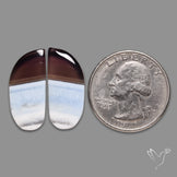 Owyhee Blue Opals Pair